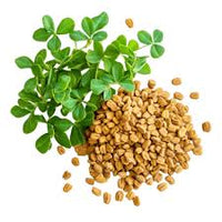 Fenugreek