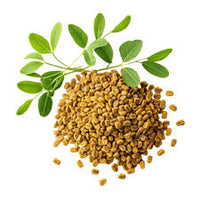 Fenugreek