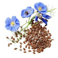 Flaxseed