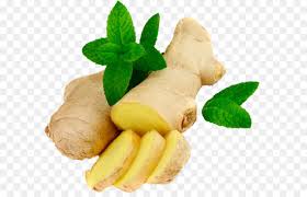 Ginger Root