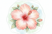 Hibiscus Flowers