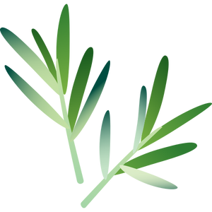 Rosemary